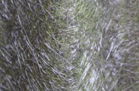 Belbroughton fibreglass roof work